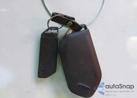 2024 Kia Telluride Sx Prestige X-Line из США, поврежденный, VIN 5XYP5DGC7RG495084